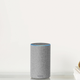 Image for article titled Amazon's Alexa for Landlords Is a Privacy Nightmare Waiting to Happen